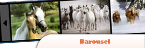 Barousel.jpg