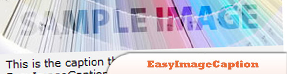 EasyImageCaption.jpg