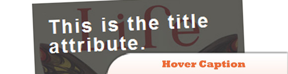 JQuery-hover-caption-plugin.jpg