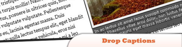 jQuery-Drop-Captions-Plugin.jpg