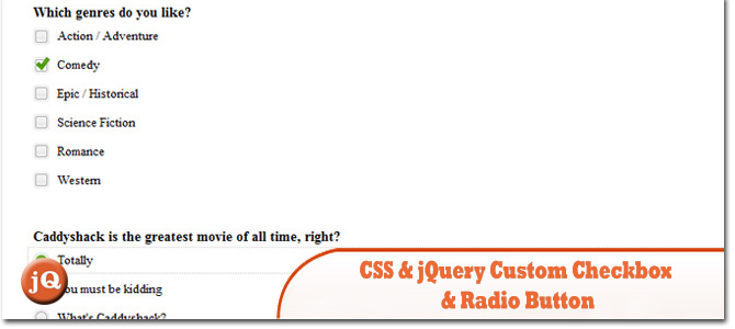 CSS-jQuery-自定义复选框和单选按钮.jpg