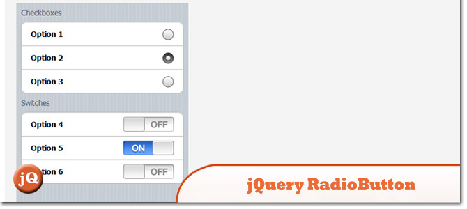 jQuery-RadioButton.jpg
