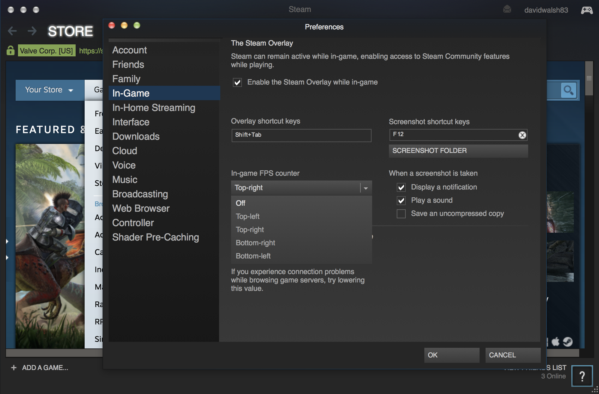 Steam FPS Settings