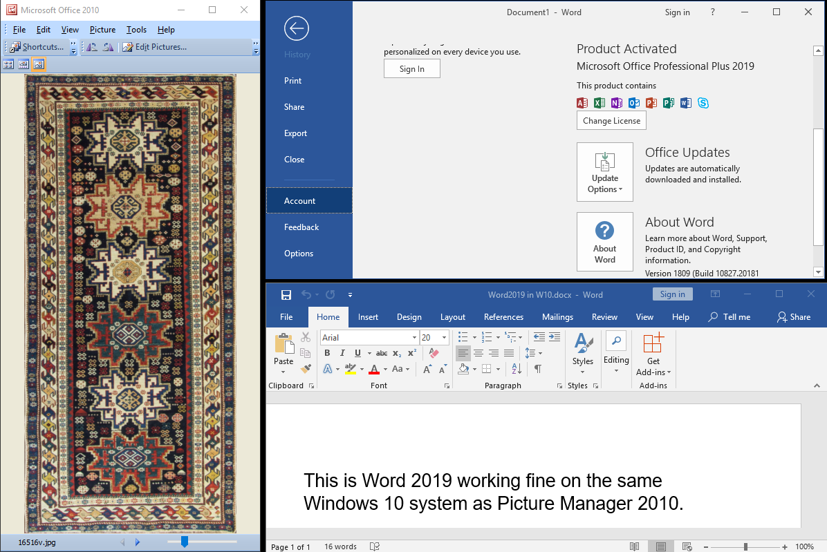 microsoft office home and business 2019 best buy