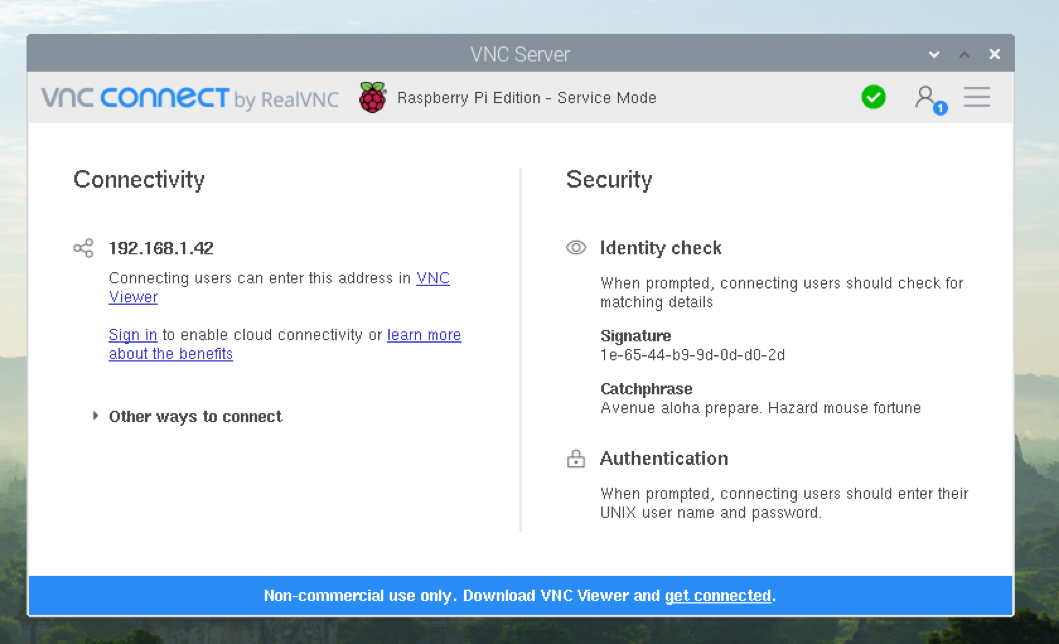 The VNC Connect panel