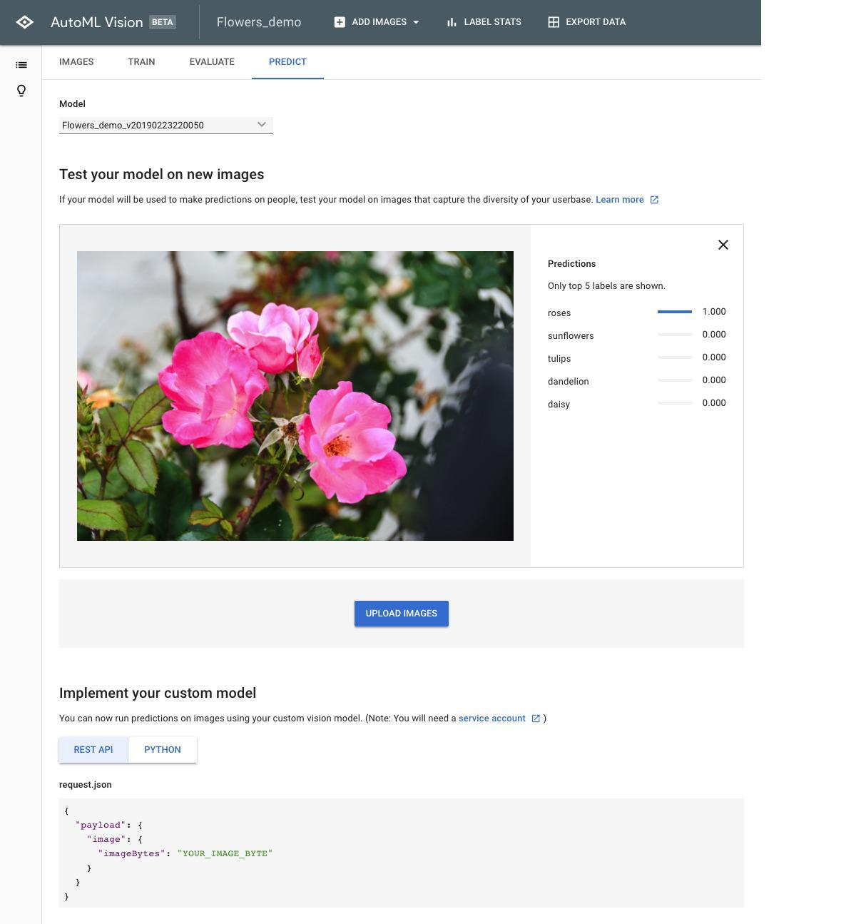 Google Cloud Automl愿景24