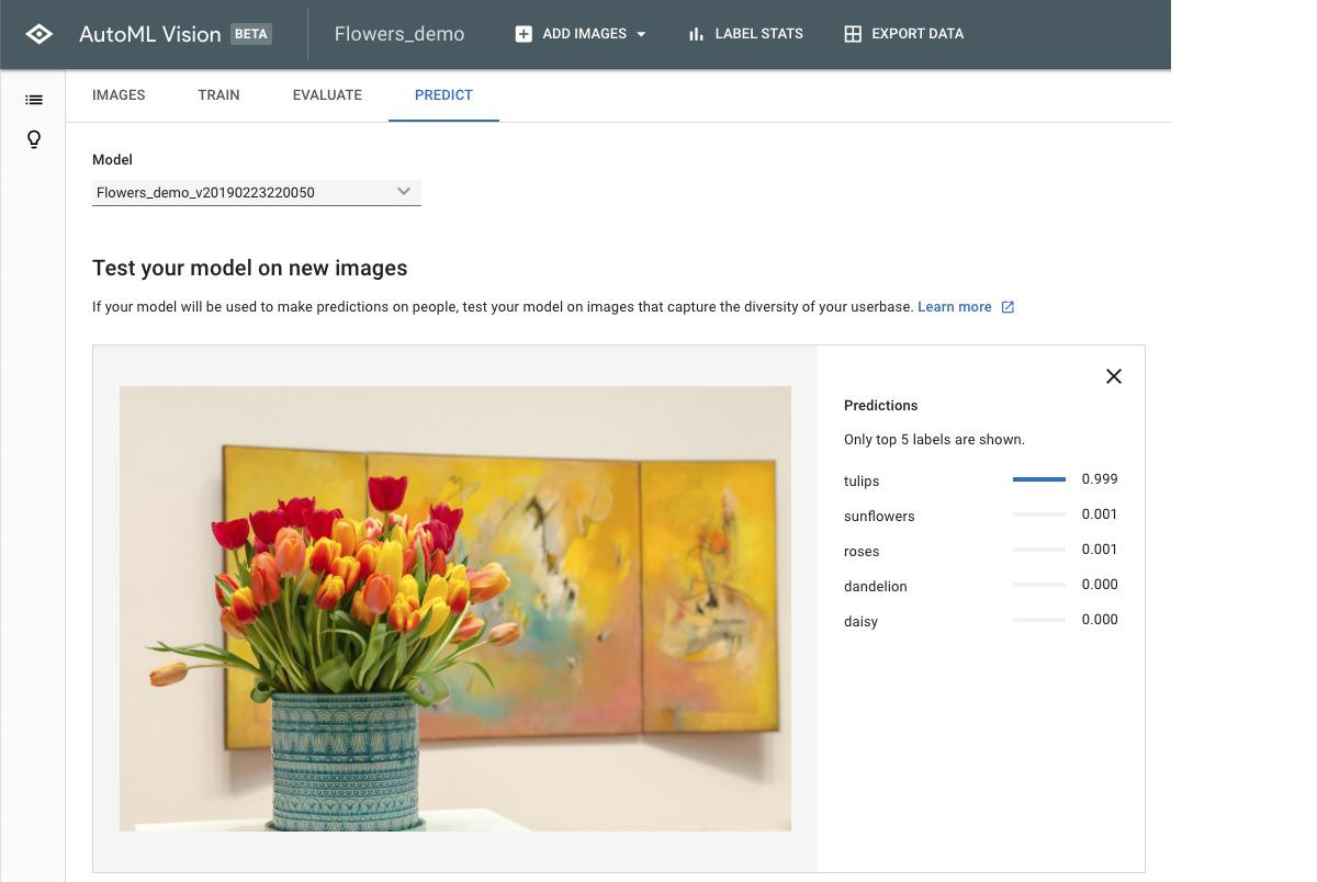 Google Cloud Automl愿景25