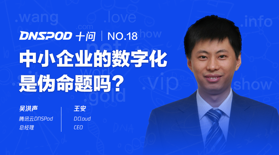 dnspod十问王安中小企业的数字化是伪命题吗