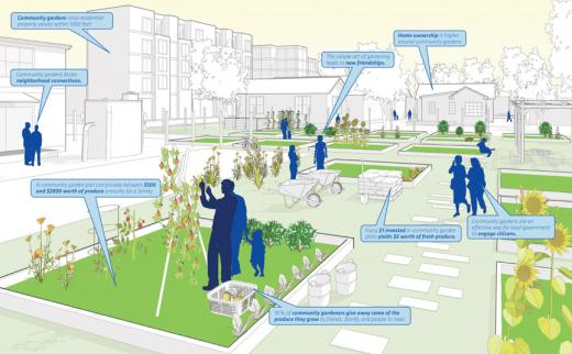 Community garden, sketch and annotated