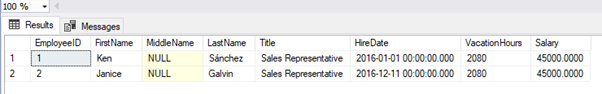 Executed SELECT statement using the view as the source in the FROM clause and showing the results returned