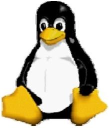 Unix，Linux和Windows
