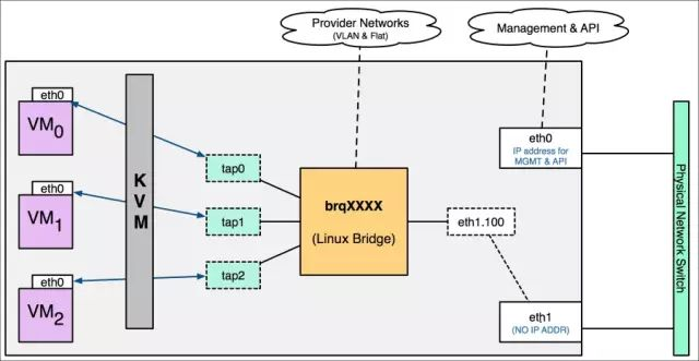 单个vlan network结构
