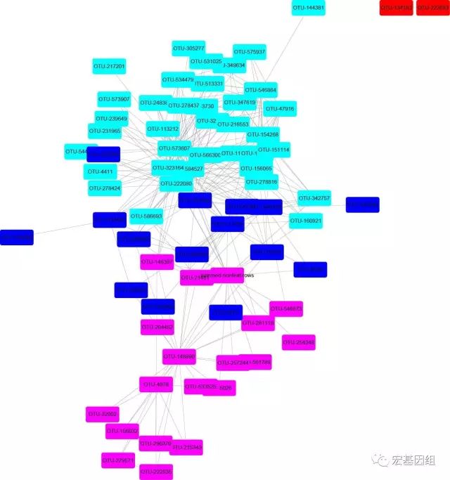 微生物网络图如何画_微生物系统学