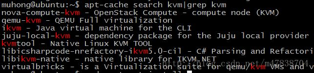 KVM安装图检测