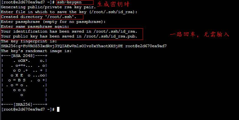 大数据系列——jdk和ssh免密登录ZZULI星.夜-