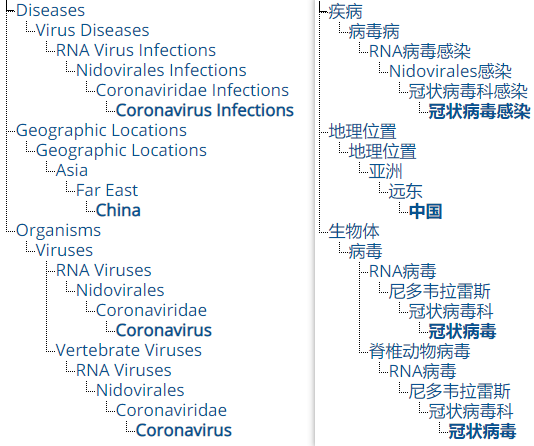 新型冠状病毒的信息汇总与分析 (形态,分类,基因组,进化,变异,流行病