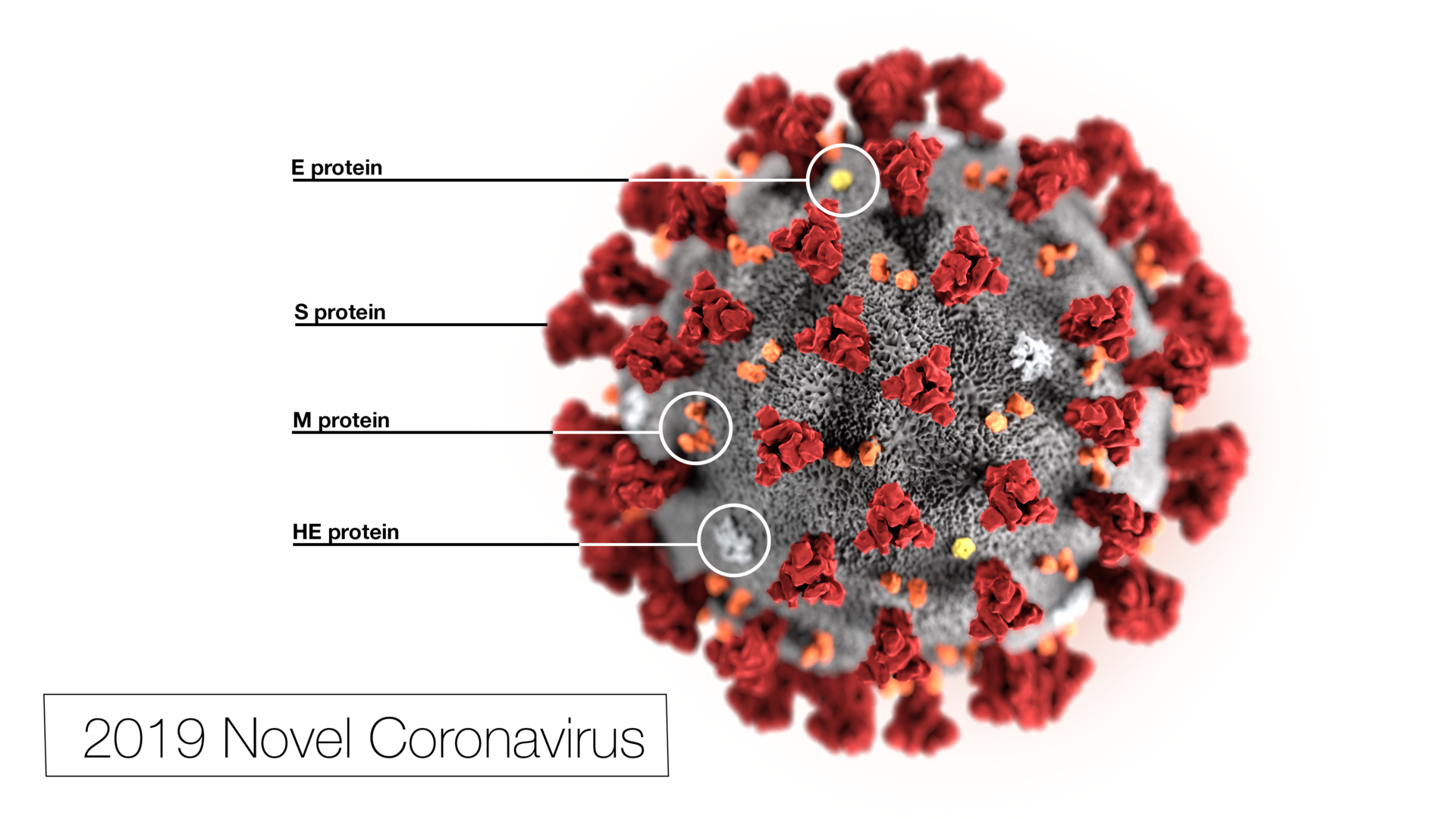 数据来源：Centers for Disease Control and Prevention (CDC) 