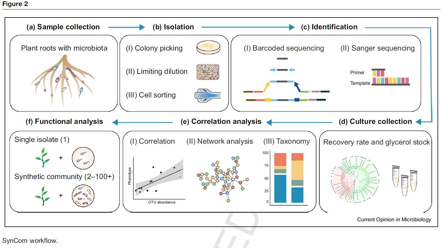 com中科院遗传发育所发表重组菌群体系在根系微生物组