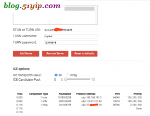  coturn 第三方检测成功