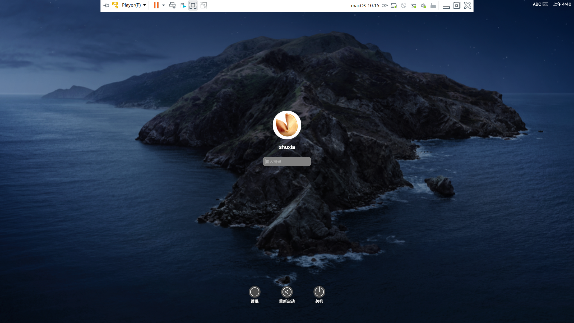 vmware workstation macos catalina