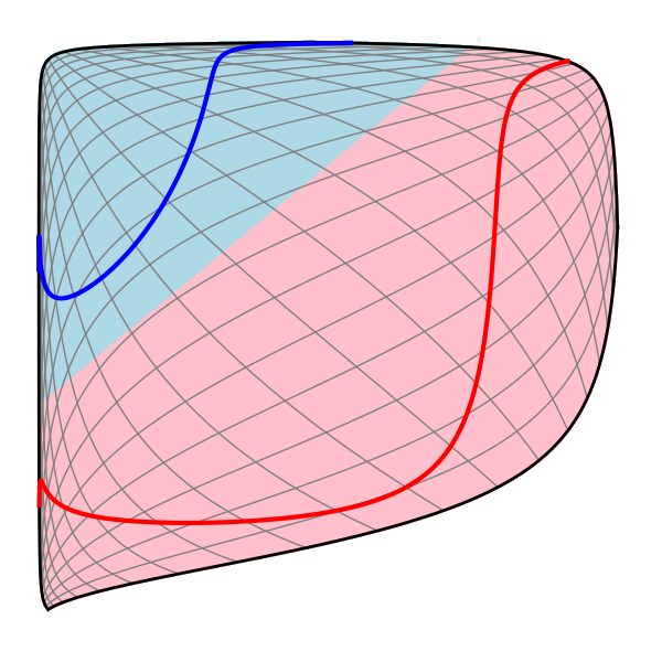 topology.png