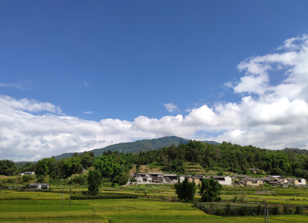 img、Blob、canvas相互转化