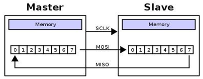 SPI详细解释有动态图(主机和从机是同时采集，同时输出，不存在一个周期一边沿读，一边沿写。SDI,SDO同时采样。内部移位寄存器一边沿移位，一 ...