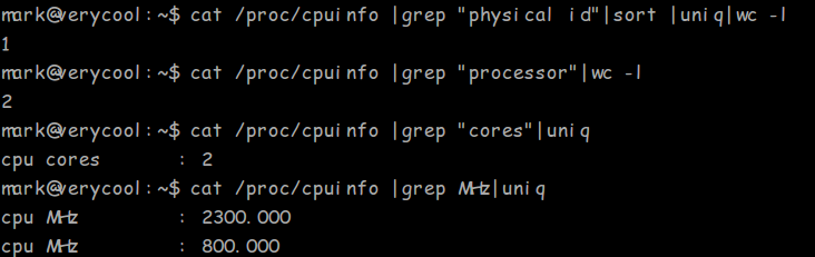 Linux 常用命令 查看 CPU 信息