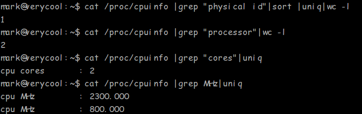 Linux 常用命令: 查看 CPU 信息