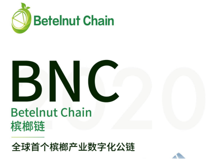 黯特撒门基金会宣布投资海南甬晟环保，利用区块链技术重塑槟榔产业生态