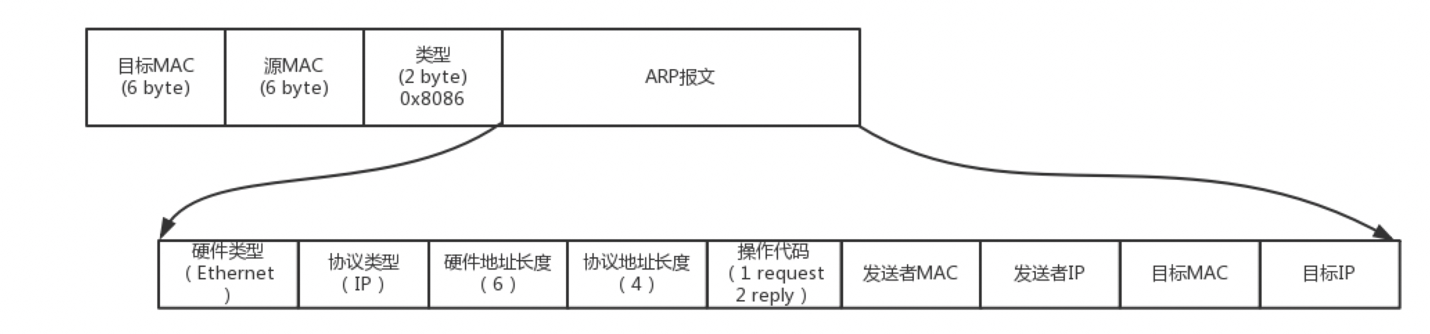 ARP报文