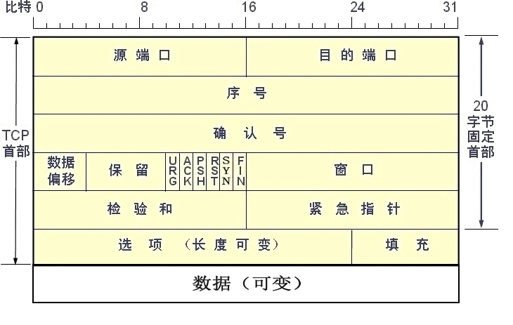 TCP,UDP,IP包头格式及说明_udp包头-CSDN博客