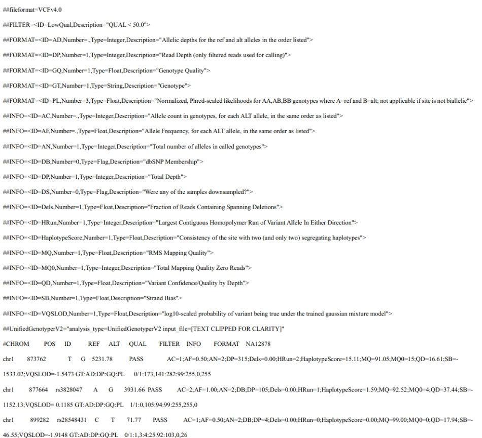 vcf 格式文件详解