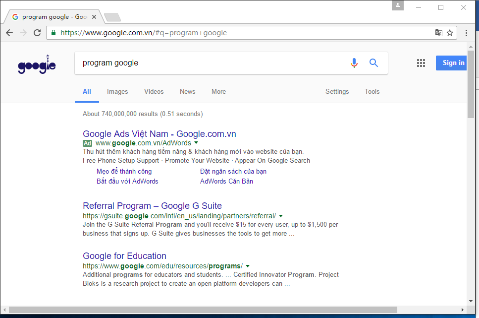 图1：输入program google的结果。