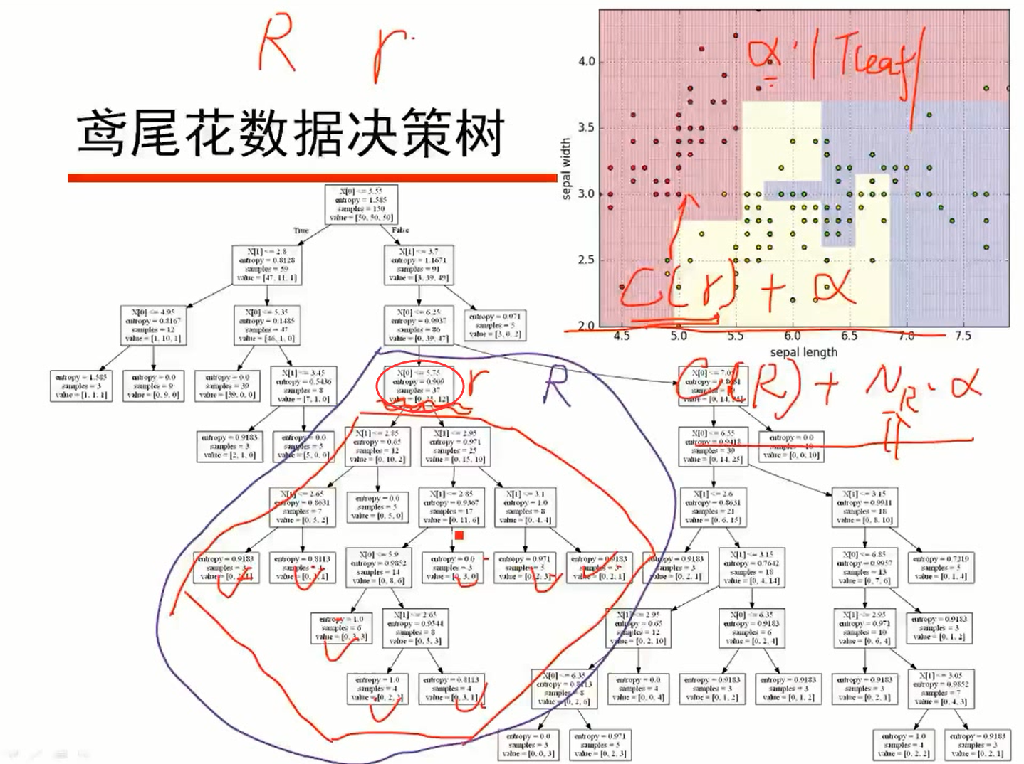 R为r结点分支后的子树