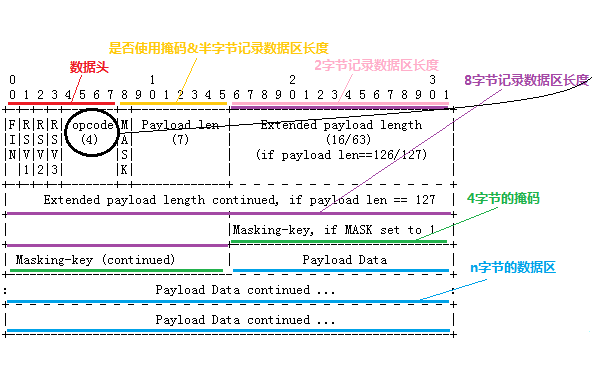 这里写图片描述