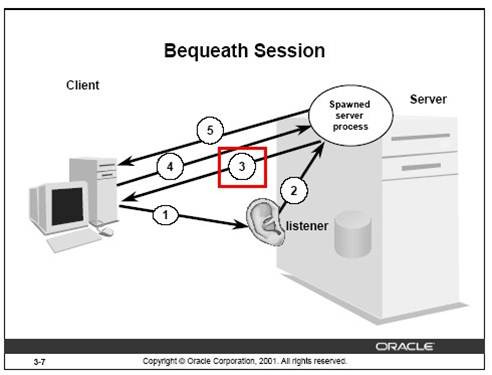 oracle listener