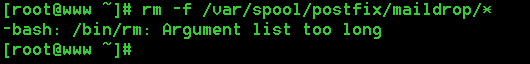 linux-rm-f-bash-bin-rm-argument-list-too-long-wuling129-csdn