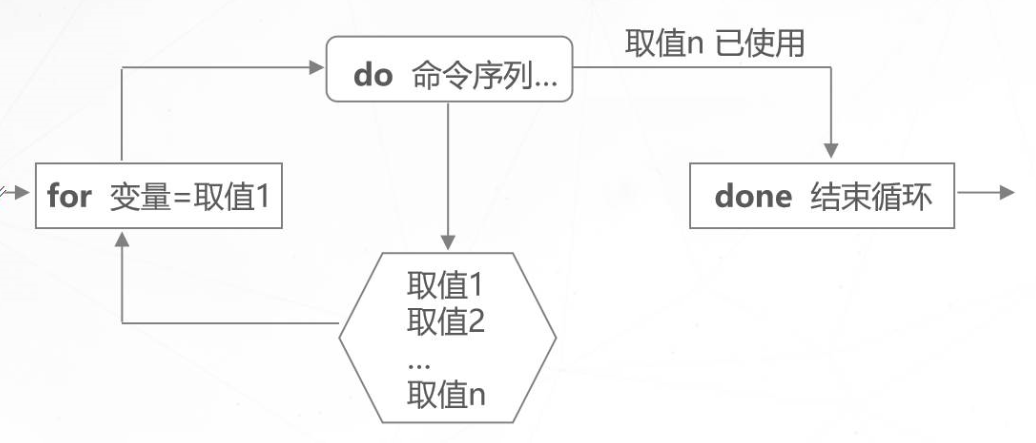 Shell for while shell while csdn 