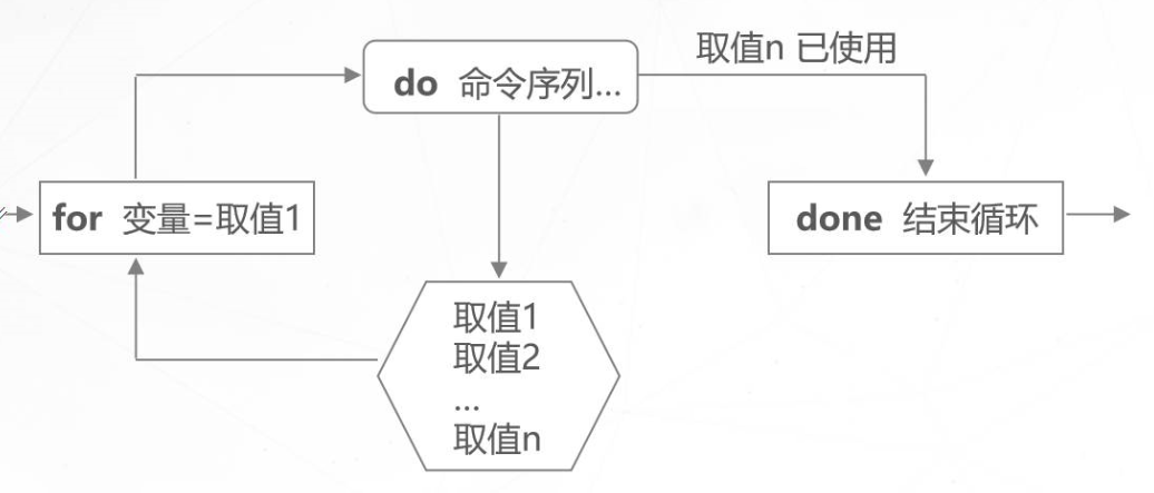 shell-for-while-shell-while-csdn