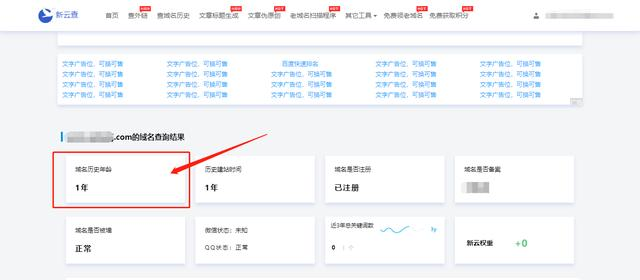 域名历史年龄的查看方法（查域名历史）