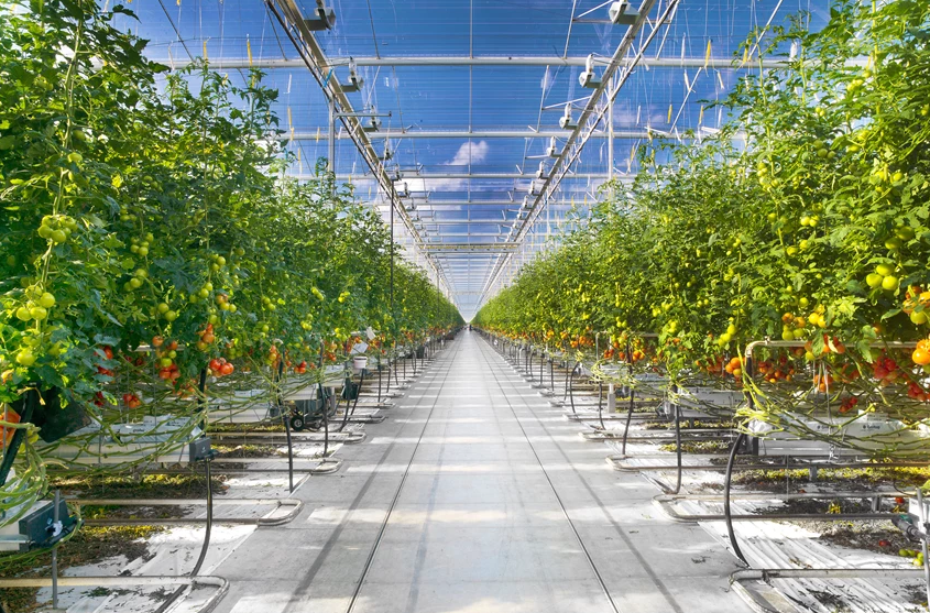 智慧农业温室大棚新一轮农业革命开始了