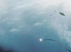 ZBrush建模软件都用在哪儿了？