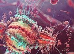 ZBrush建模软件都用在哪儿了？