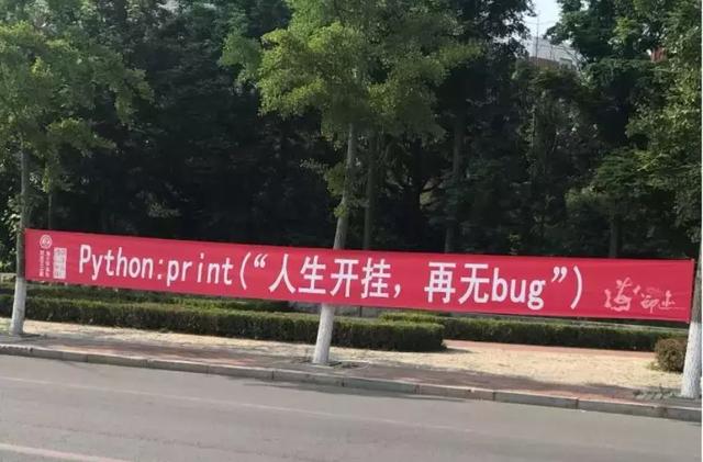 程序员垃圾代码分类指南