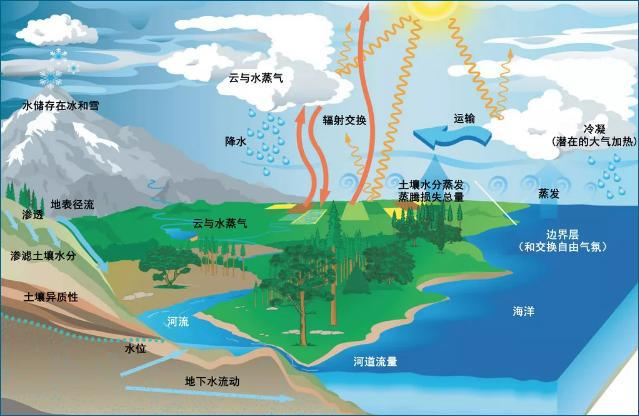 同一纬度为什么大兴安岭是森林呼伦贝尔是草原