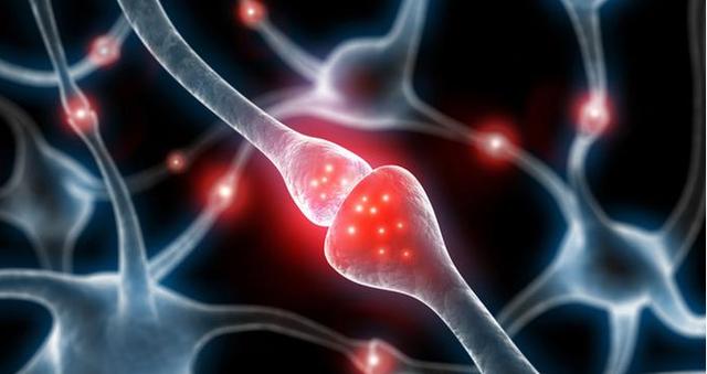 大数据有多可怕？科学家成功在DNA上编写sql，或能实现永生