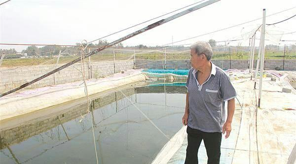 老头创业弄养殖，每亩收入3万元，水蛭为啥这么值钱？