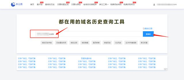 域名历史年龄的查看方法（查域名历史）