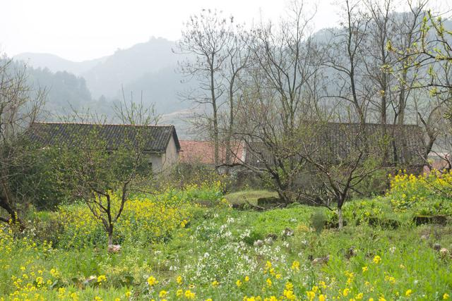 BTC暴涨，好像跟你有一丢丢关系